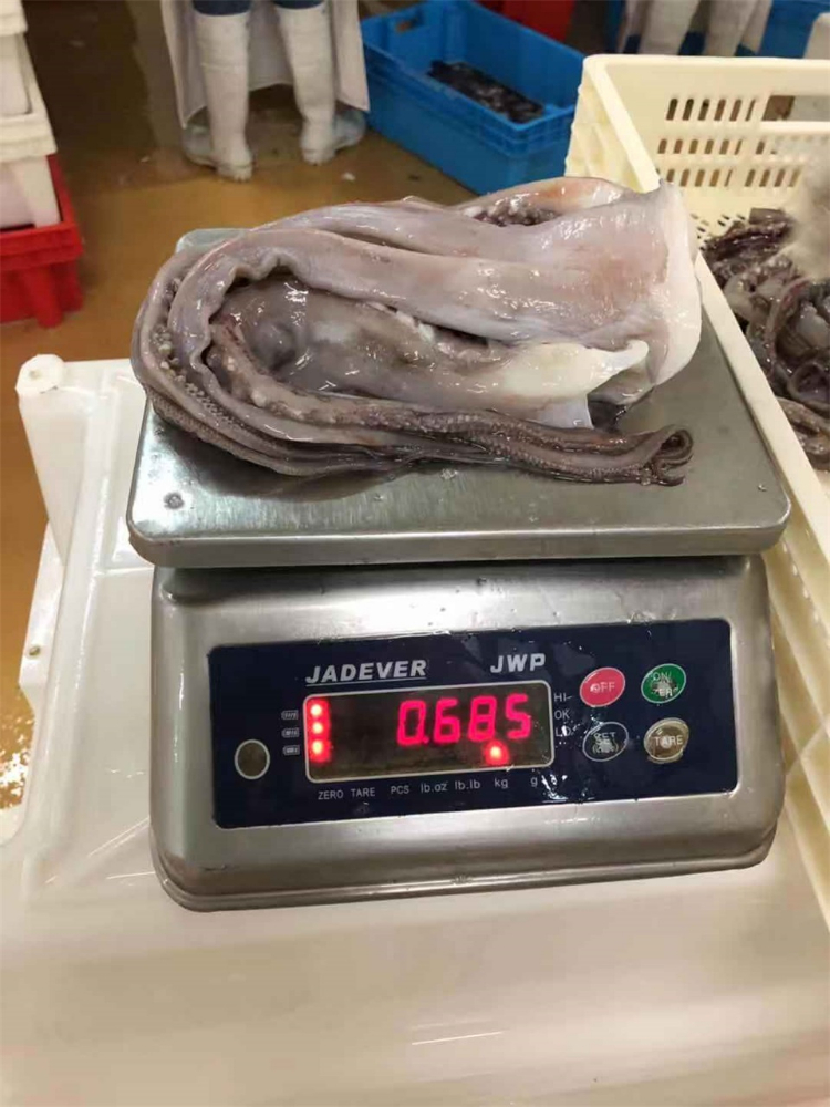 冷凍魷魚須