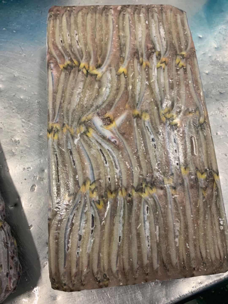 胡瓜魚(yú) FROZEN SILVER SMELT