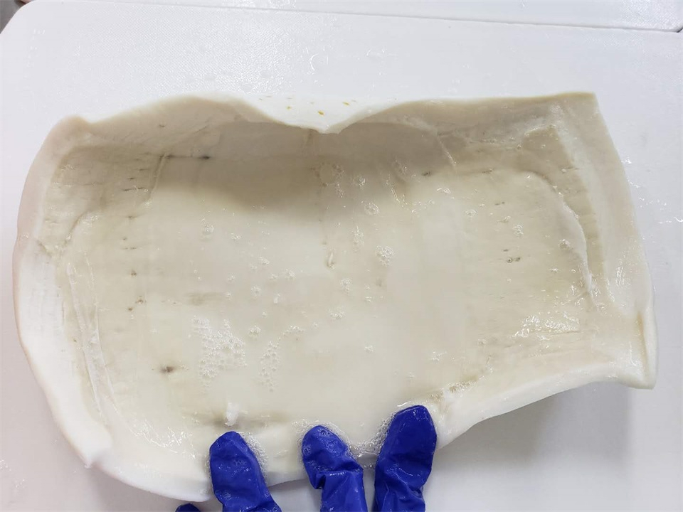 秘魯魷魚(yú)可以多吃嗎？